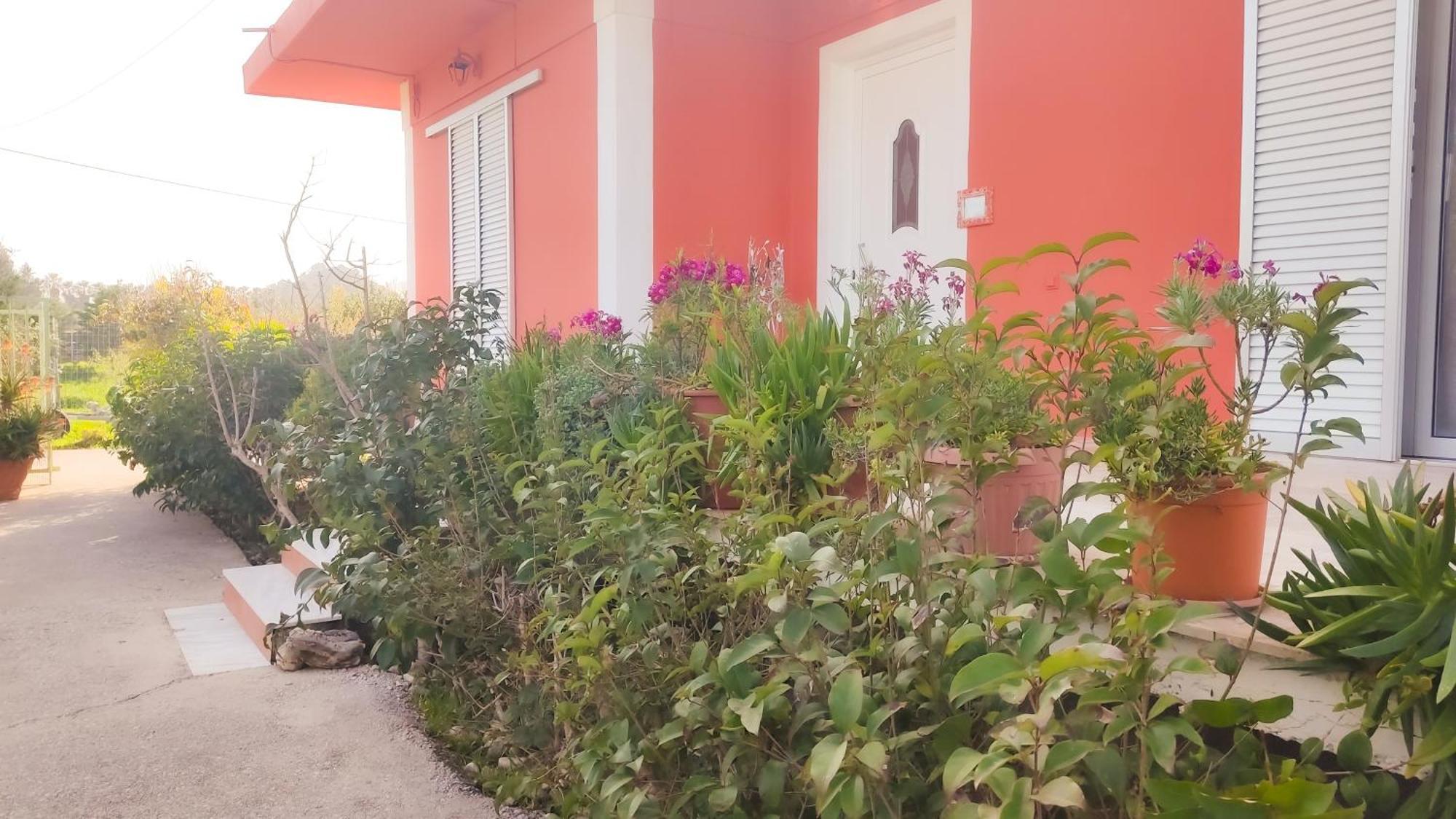 Casa Domenica * Zakynthos Town